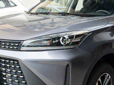 2025�� 1.5L �ֶ����ʰ�