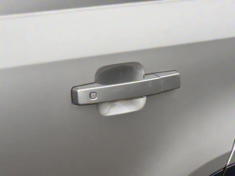 2025�� 110 3.0T P400 X