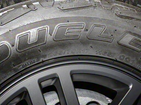 2025�� Trialmaster��