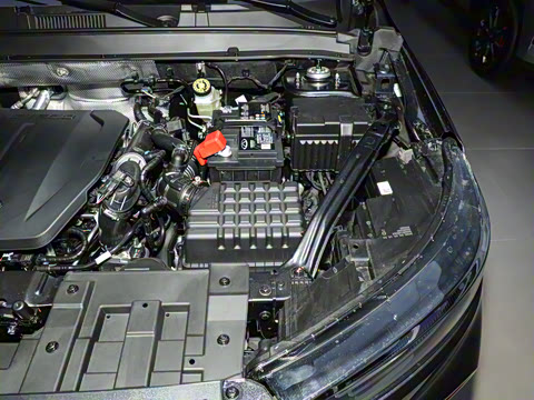 2025�� ׿Խ�� 230TCI �ֶ����ʰ� 7��