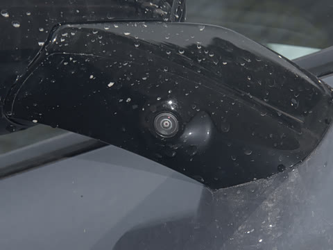 2025�� 650 ������