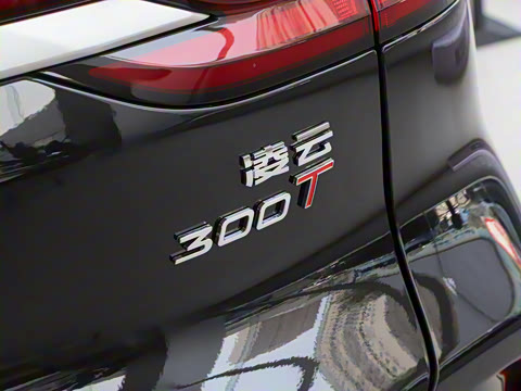 2025�� 300T ������Խ��