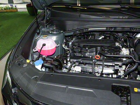 2025�� ;ʤL 1.5T ��Ӣ��