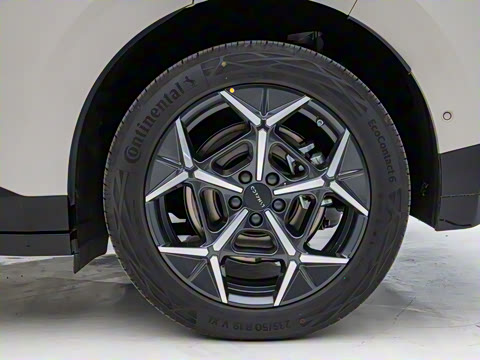 2025�� 530km ����Max