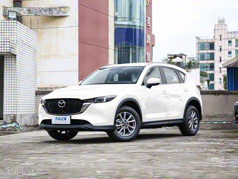 2024�� 2.0L �Զ�����������