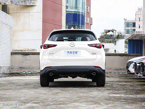 2024�� 2.0L �Զ�����������