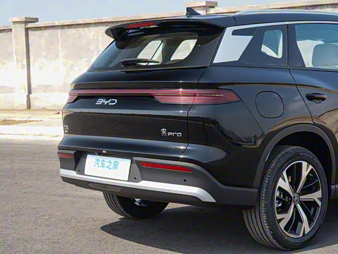 2025�� �ڶ��� DM-i 115KM׿Խ��