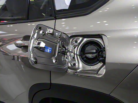 2024�� 2.0L ���ܵ��˫�� ���Ȱ�