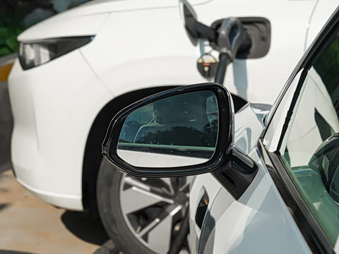 2025�� 550������