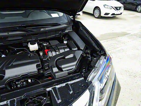 2025�� ���� 2.0L �������Ȱ�