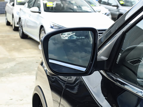 2025�� ���� 2.0L �������Ȱ�