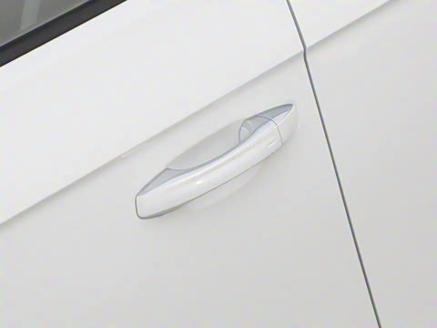 2025�� 300TSI DSG���������