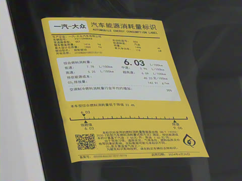 2025�� 300TSI DSG���������