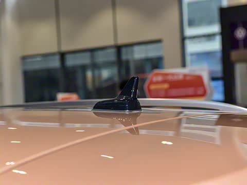 2025�� 300TSI DSG���������