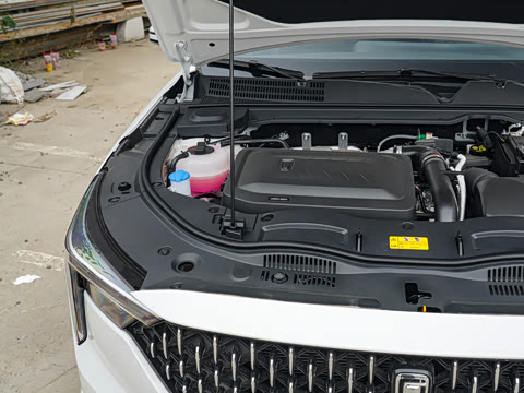 2025�� ��ҫ�� 1.5T ������