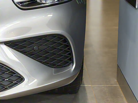 2024�� 2.0T ���Ͱ������콢�� Shooting Brake