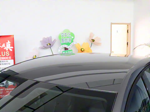 2025�� 520�ǻݰ�