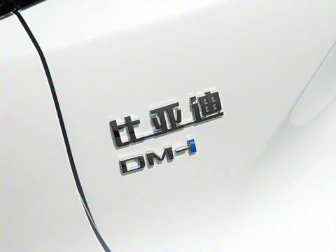 2025�� DM-i �Ǽݰ� 75KM������