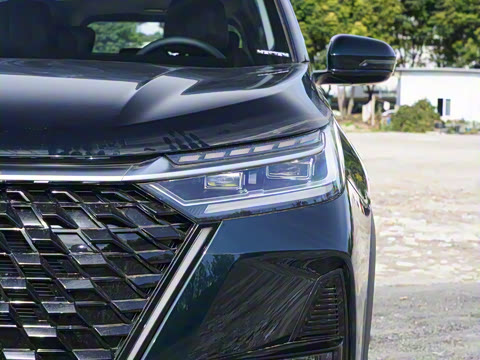 2025�� 290T ��������