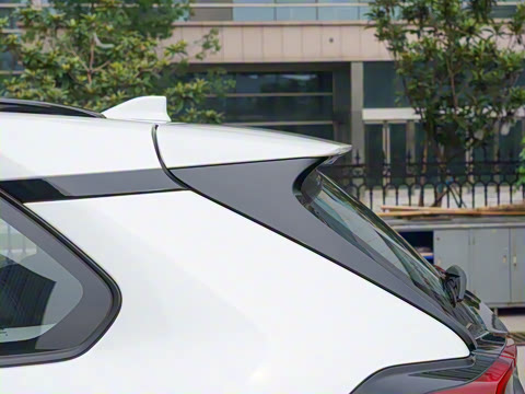 2024�� ˫�� 2.5L E-CVT��������PLUS��