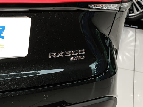 2025�� 300 ����������