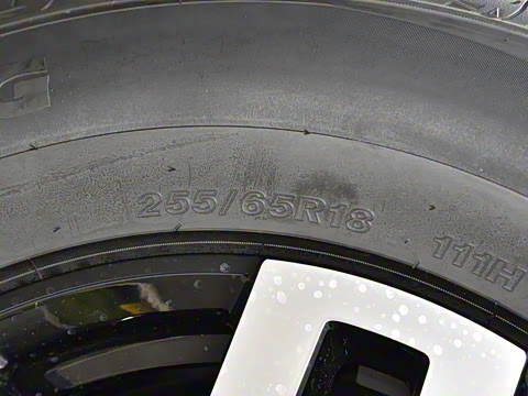 2024�� ����������