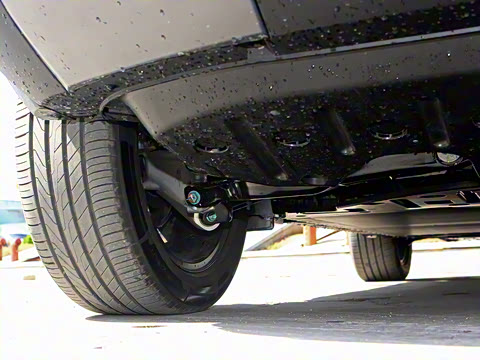 2025�� 501KM ����Max��