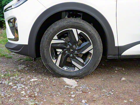 2025�� 500 ��ҵ��