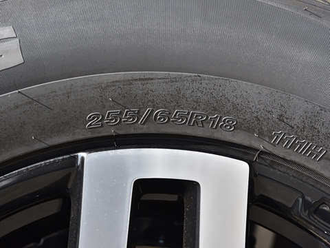 2024�� ����������