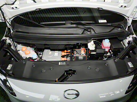 2024�� Younger ��ҫ��