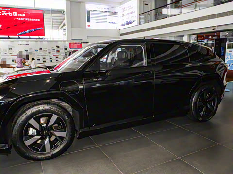 2025�� ����������Plus