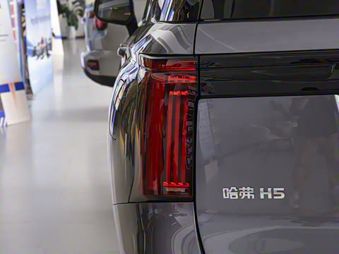 2025�� 2.0T�Զ�������Ӣ�� ����