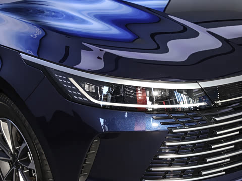 2024�� DM-i 55KM �캽��ҫ��