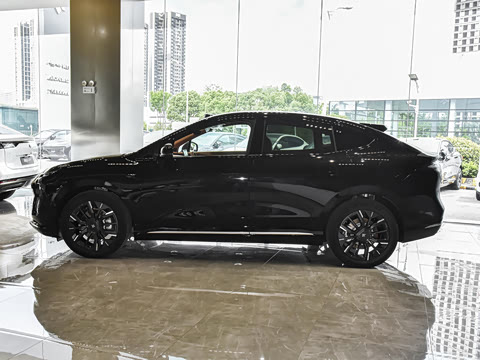 2025�� 825 Max��