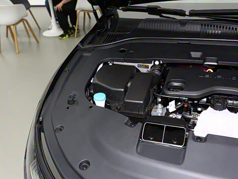 2024�� ���� 216������