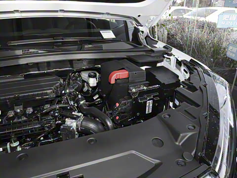 2025�� 1.5T ������