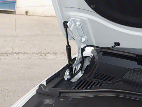 2024�� ���� 525������