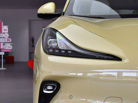 2025�� �������������Ǽݰ�