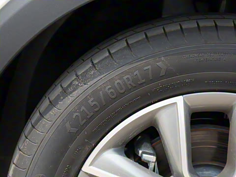 2025�� PLUS 330TGI �Զ��쳱�ǻݰ�