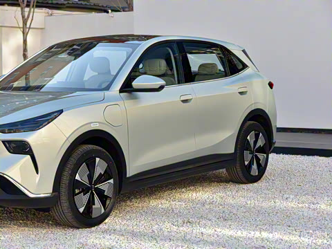 2025�� 565km ������