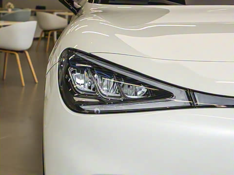 2026�� �鶯������