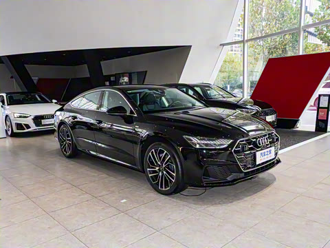 2025�� 45 TFSI ��ѡ��