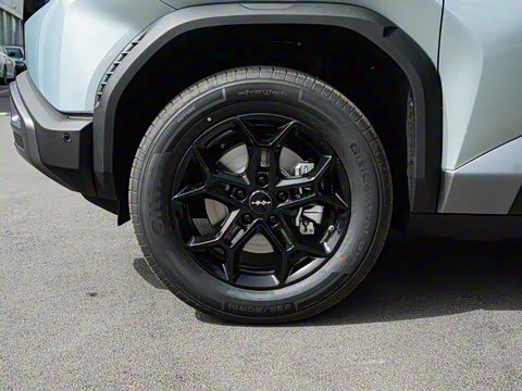 2025�� 501KM ����Max��