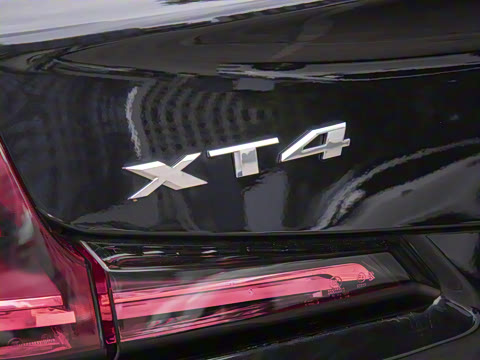 2024�� 25T ����������