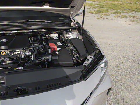 2024�� 2.0GVP ������