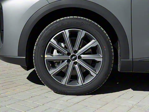 2024�� 120 �������������� 5�� ��Ԫ�