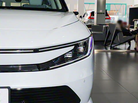 2025�� ����������Pro