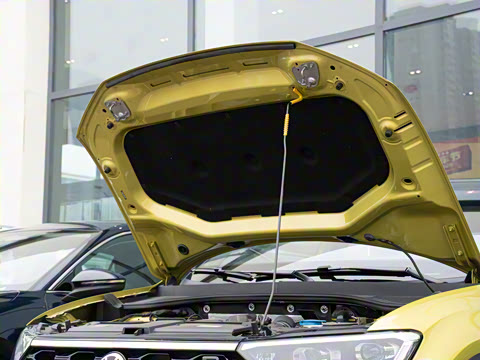 2024�� 300TSI DSG���������