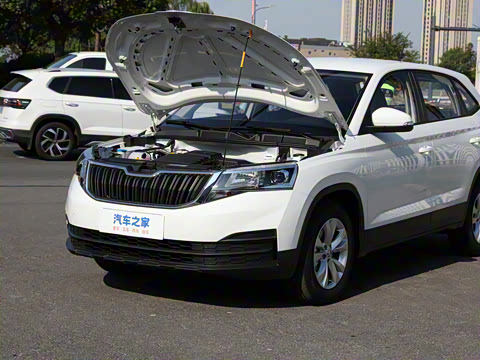 2025�� 1.5L �Զ�ʵ����