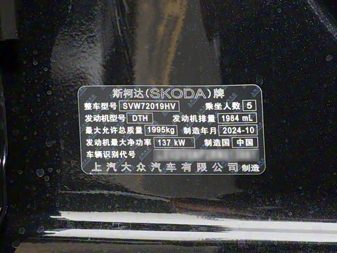 2025�� TSI330 DSG������